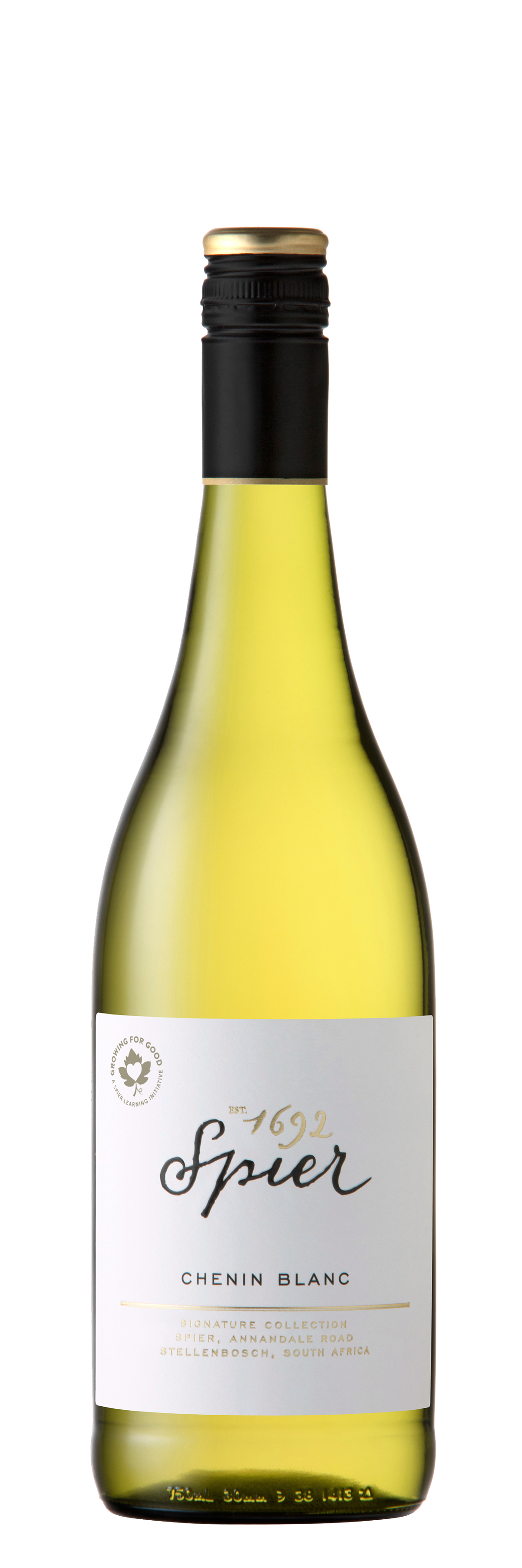 Spier | Signature Chenin blanc